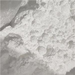 恩替卡韦,Entecavir