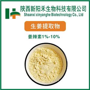 生姜提取物    生姜粉  姜辣素