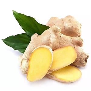 生姜提取物,Ginger Extract