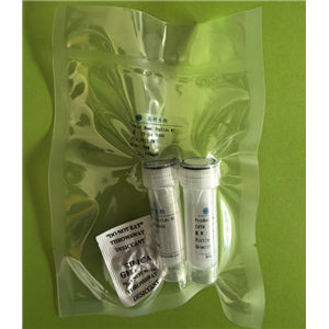 荧光底物多肽Ac-LEHD-AMC,Ac-Leu-Glu-His-Asp-AMC