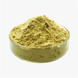 氯诺昔康,Lornoxicam