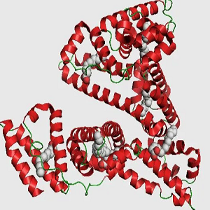 大黄酸-牛血清白蛋白偶联物,Rhein-BSA Conjugate