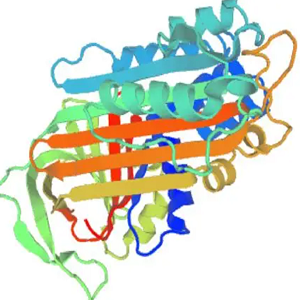 熊果酸-鸡卵清白蛋白偶联物,Ursolic Acid-OVA Conjugate