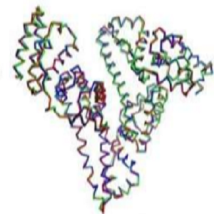 Cholylglycine-OVA，甘氨胆酸-鸡卵清白蛋白偶联物