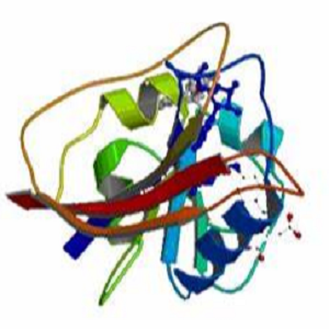 Cholylglycine-BSA，甘氨胆酸-牛血清白蛋白偶联物