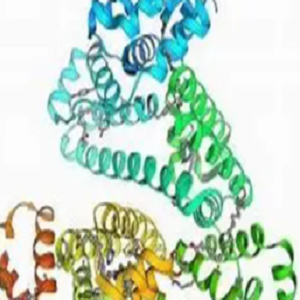 Cholate-BSA，胆酸-牛血清白蛋白偶联物