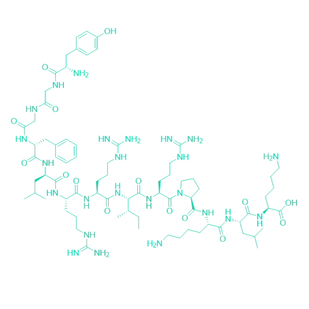 强啡肽A（1-13）,Dynorphin A (1-13)