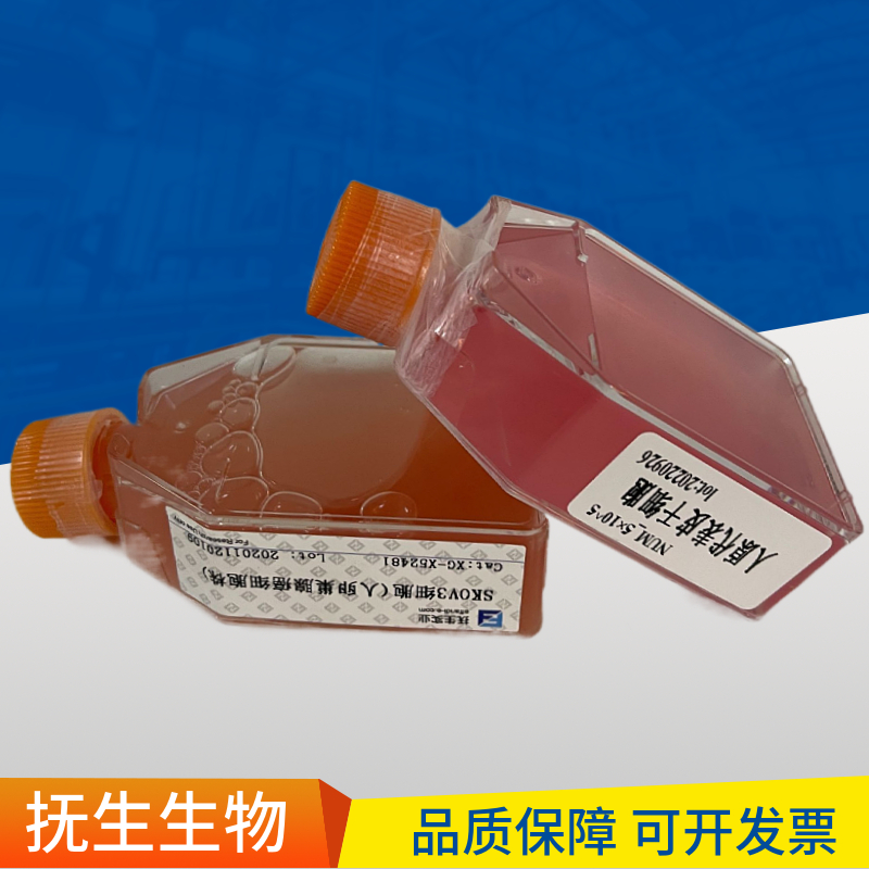 VERO E6非洲绿猴肾细胞,VEROE6:VERO E6