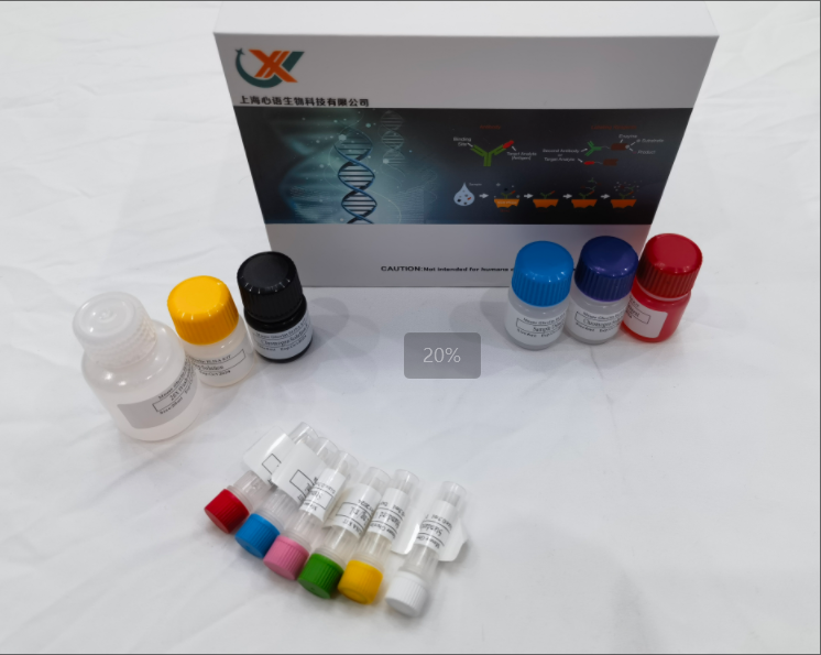 兔氧化低密度脂蛋白（OxLDL）elisa试剂盒