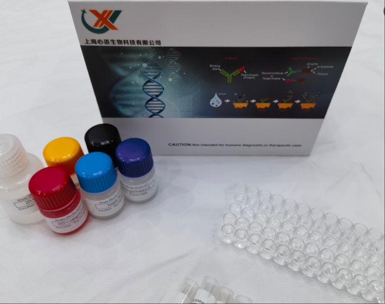 兔白细胞介素13（IL-13）elisa试剂盒