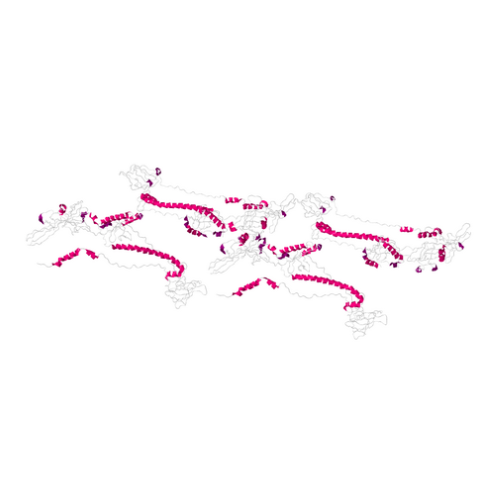 重组HSV2 Glycoprotein B蛋白,Recombinant HSV 2 (strain 333) Glycoprotein B Protein, 98-730 aa, His-tag