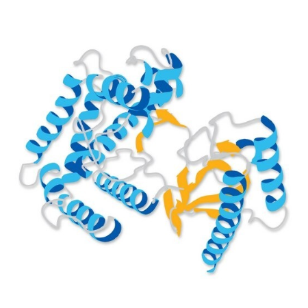 人Tau441蛋白,Recombinant Human Tau441, 1-441aa, Tag-free