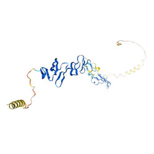 小鼠RSPO1蛋白,Recombinant Mouse RSPO1, 21-209aa, His-tag