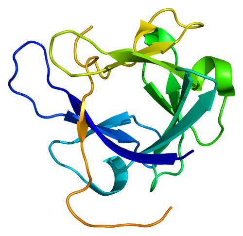 重组人FGF-19蛋白,Recombinant Human FGF-19 Protein, 4-216aa, His-tag