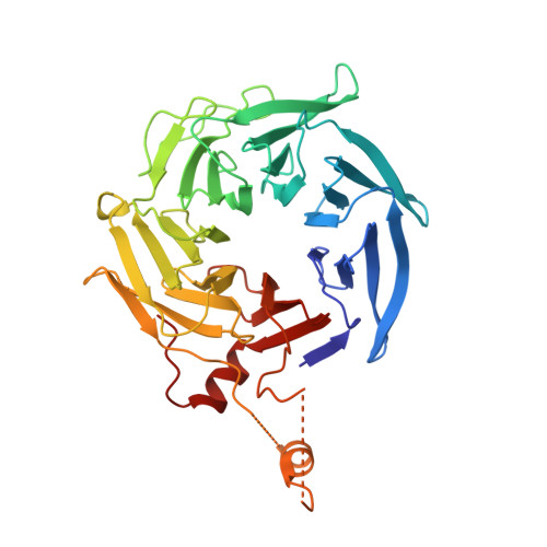 重组人ARPC1B蛋白,Recombinant Human ARPC1B, 1-372aa, His-tag