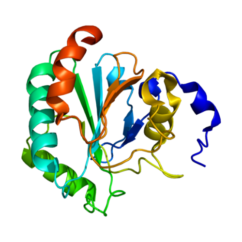 重组大鼠GPX4蛋白,Recombinant Rat Glutathione Peroxidase 4 (GPX4), 1-253aa, His-tag