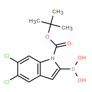 1-Boc-5,6-二氯-1H-吲哚-2-硼酸,(1-(tert-Butoxycarbonyl)-5,6-dichloro-1H-indol-2-yl)boronic acid