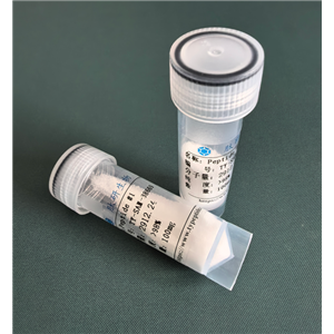 强啡肽A（1-13）,Dynorphin A (1-13)