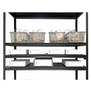 小动物能量代谢系统|cc|多通道动物气体代谢系统