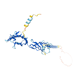 重组人SLAMF7/CRACC/CD319蛋白,Recombinant Human SLAMF7/CRACC/CD319, 1-226aa, His-tag