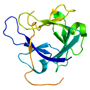 重组人FGF-19蛋白,Recombinant Human FGF-19 Protein, 4-216aa, His-tag