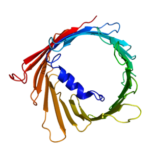 重组人VDAC1蛋白