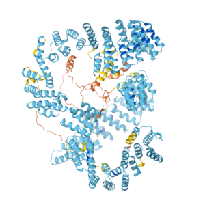 重组人LRPPRC蛋白