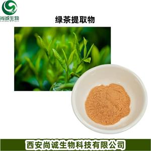 绿茶提取物,Green Tea Extract.
