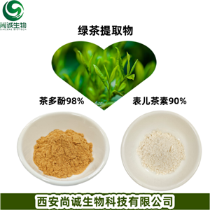 绿茶提取物,Green Tea Extract.