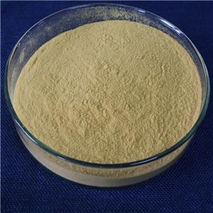 6-氨基-4-喹唑啉酮,6-Aminoquinazolin-4(3H)-one