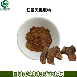 红景天提取物,Rhodiola Rosea Extract