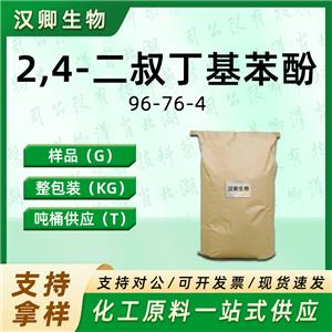 2,4-二叔丁基苯酚 96-76-4