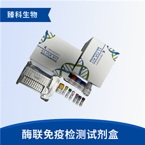 人髓鞘碱性蛋白抗体(MBP antibody）检测试剂盒（ELISA法）