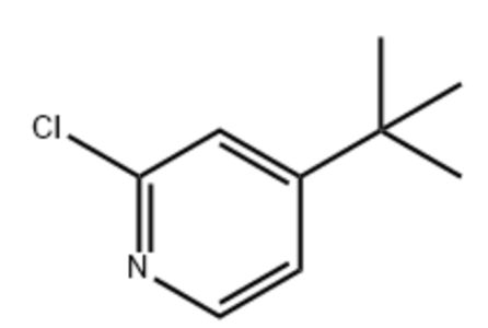 4-(叔丁基)-2-氯吡啶,4-tert-butyl-2-chloropyridine