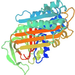 环丙沙星-鸡卵清白蛋白偶联物,Ciprofloxacin-Ovalbumin Conjugate