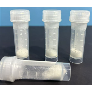 软骨素AC裂解酶,CHONDROITIN AC LYASE