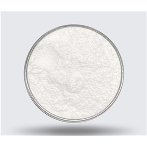 索马鲁肽,Semaglutide