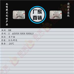 随机引物,Random primers