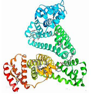 Aminopterin-BSA，氨基蝶呤-牛血清白蛋白偶联物