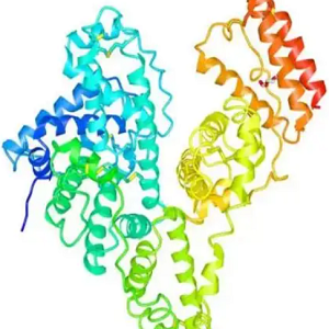 Daunorubicin-BSA，柔红霉素-牛血清白蛋白偶联物