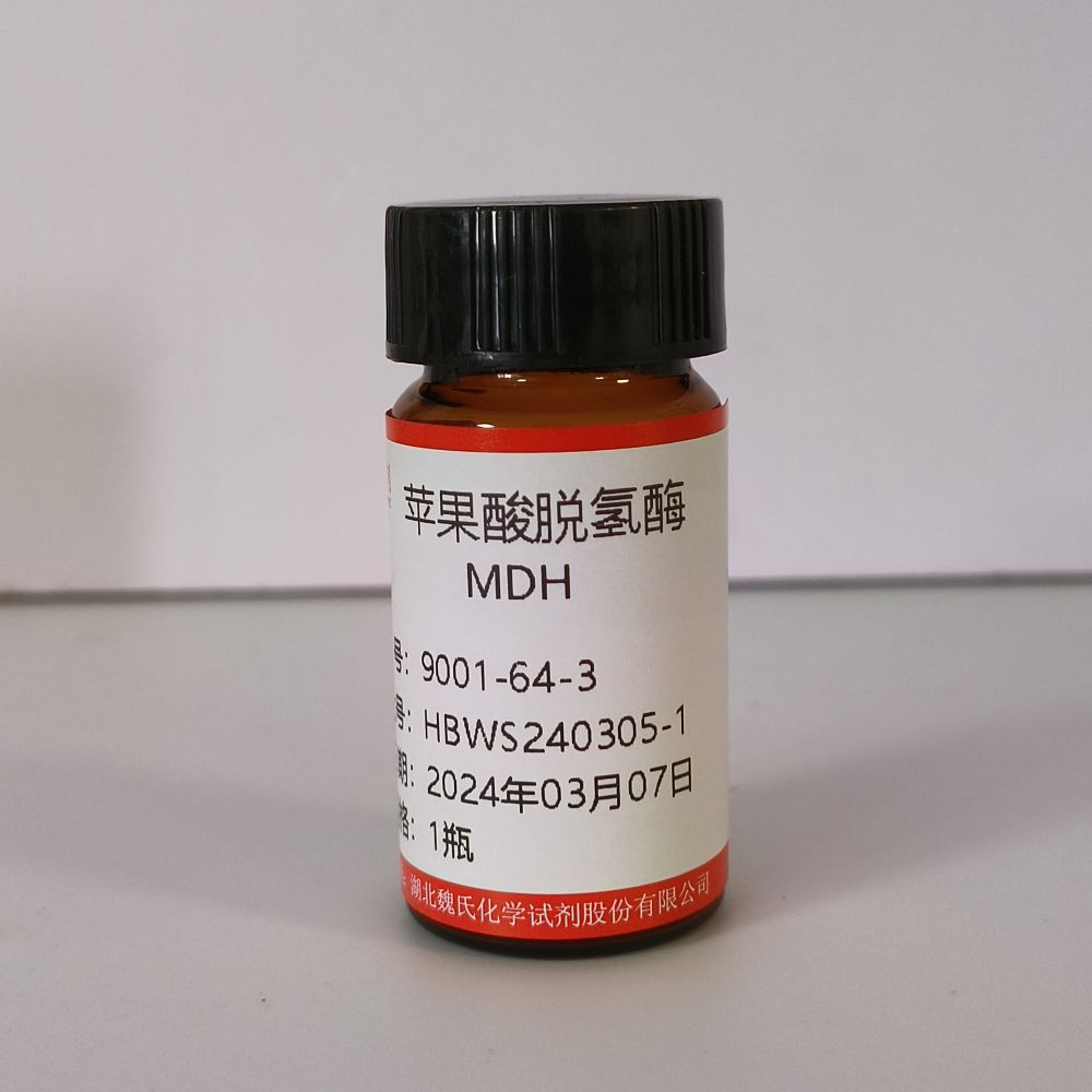 苹果酸脱氢酶,MDH