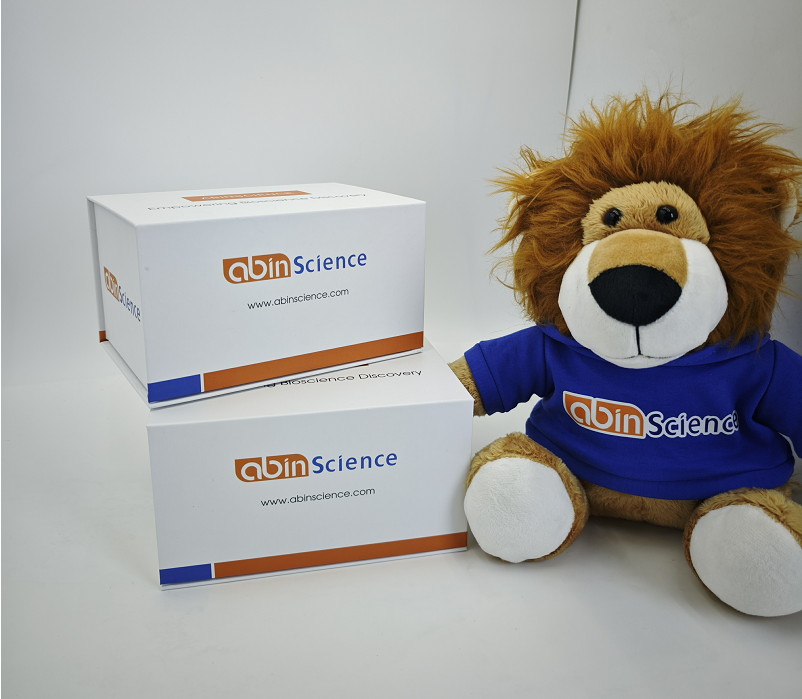 重组普通梯牧草Phl p 7/PHLPVII蛋白，N-GST标签及C-His标签?,Recombinant Common timothy Phl p 7/PHLPVII Protein, N-GST & C-His