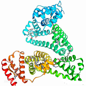 玉米赤霉烯酮-鸡卵清白蛋白偶联物,ZEN-OVA Conjugate