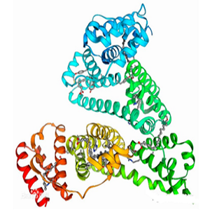 泰乐菌素-牛血清白蛋白偶联物,Tylosin-BSA