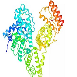 泰乐菌素-鸡卵清白蛋白偶联物,Tylosin-OVA