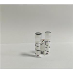 钙离子荧光探针Fura-2，AM