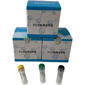 猫瘟病毒(FPV)核酸检测试剂盒