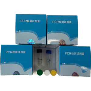 猫瘟病毒(FPV)核酸检测试剂盒