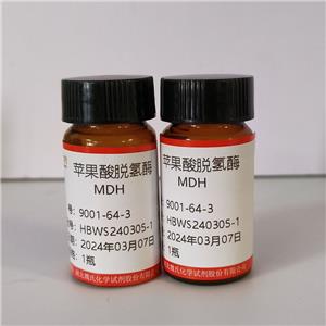 苹果酸脱氢酶,MDH