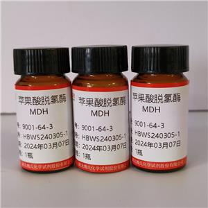 苹果酸脱氢酶,MDH